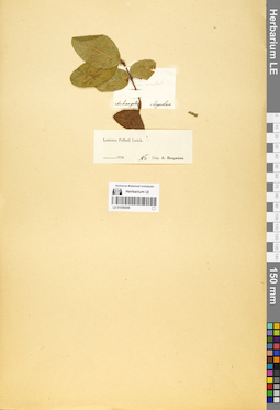 LE 01056459