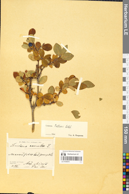 LE 01056470