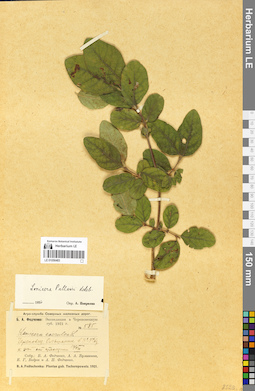 LE 01056483