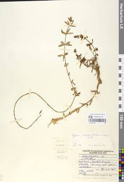 LE 01057745