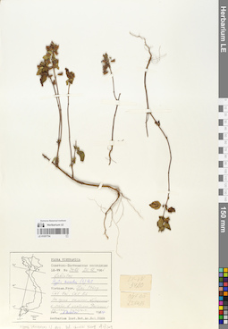 LE 01057754