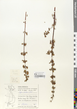LE 01057850