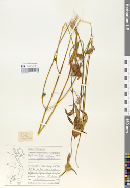 LE 01057870