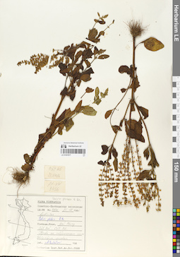 LE 01057877