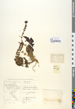 LE 01057902
