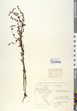 LE 01057903