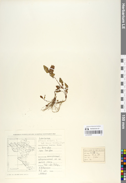 LE 01057907