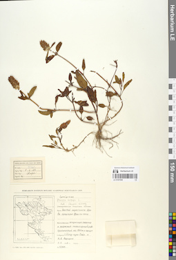 LE 01057908
