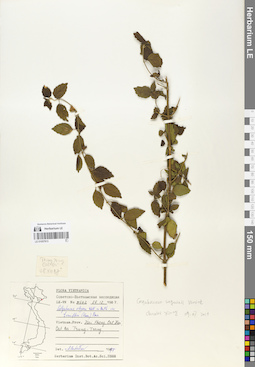 LE 01057913