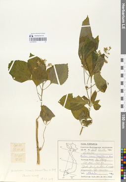 LE 01057915