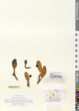 LE 01058205