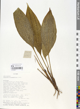 LE 01058277
