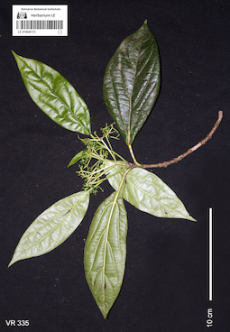 LE 01058173