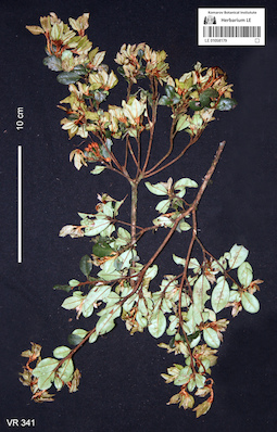 LE 01058179