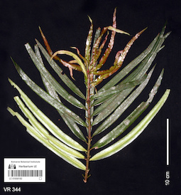 LE 01058182