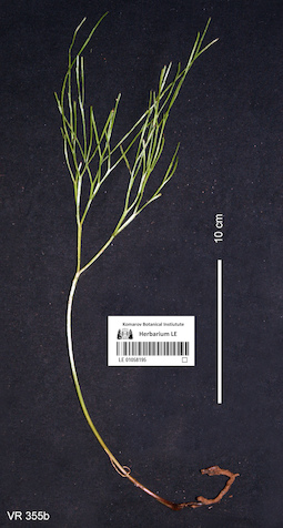LE 01058195