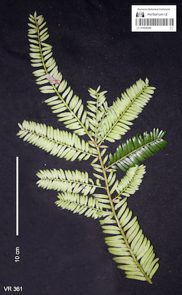 LE 01058200