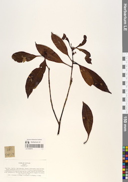 LE 01058578