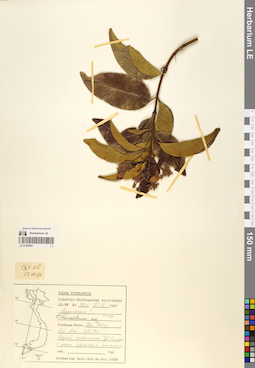 LE 01058587