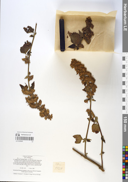 LE 01055945