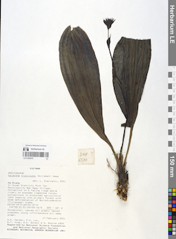 LE 01058475