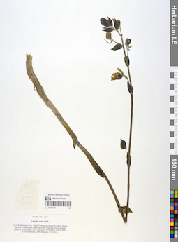 LE 01058485
