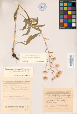 LE 01043666