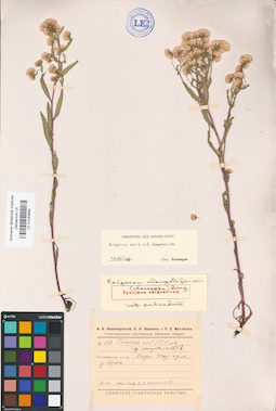 LE 01043669