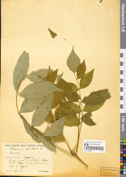LE 01061843