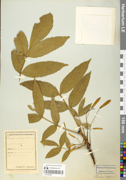 LE 01061846