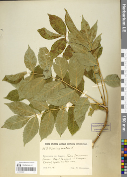 LE 01061857