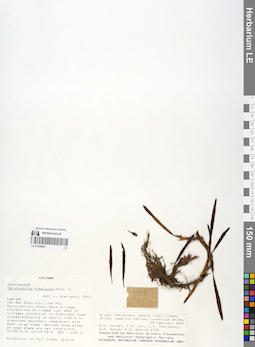 LE 01058881