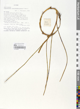 LE 01059028