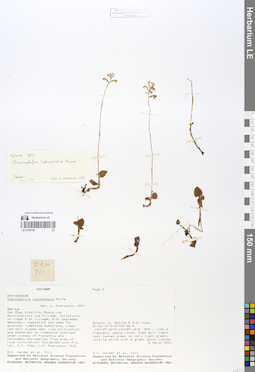LE 01059189