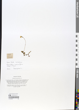 LE 01059196