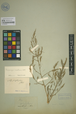 LE 01064106