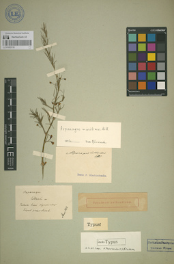 LE 01053119