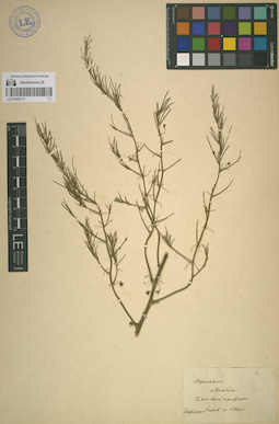 LE 01053117