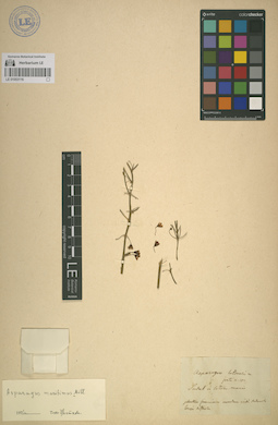 LE 01053116
