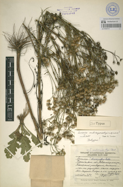 LE 01053113