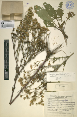 LE 01053112