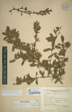 LE 01051990