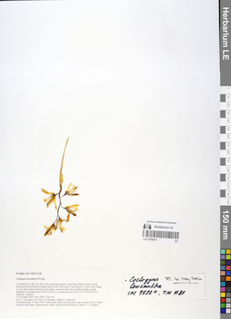 LE 01059270
