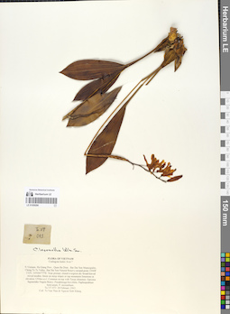 LE 01059286