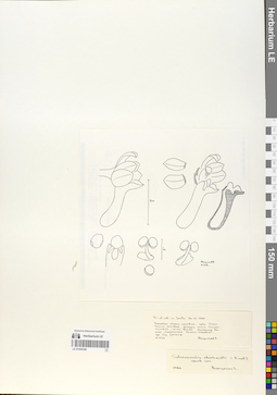 LE 01059340