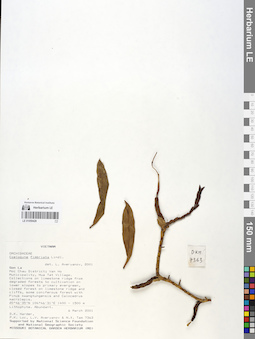 LE 01059428