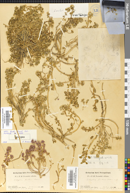 LE 01014503
