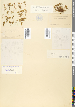 LE 01014514