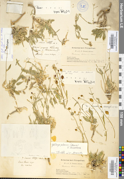 LE 01014607