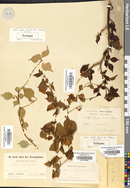 LE 01015801